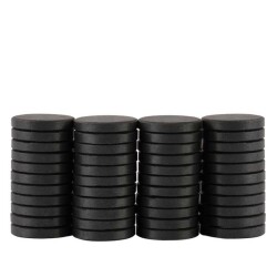 Kömür Mıknatıs 10X3mm (100 adet) - 3